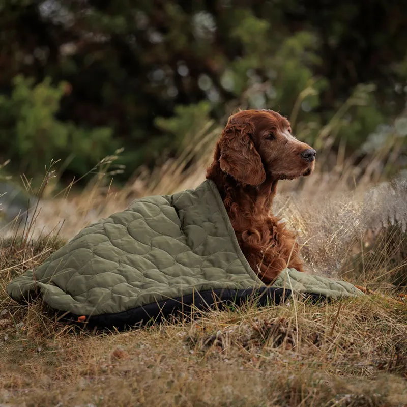 Toptan özel köpek uyku tulumu kamp yürüyüş tekne gezileri köpekler yatak su geçirmez taşınabilir battaniye Pet yatak pedi