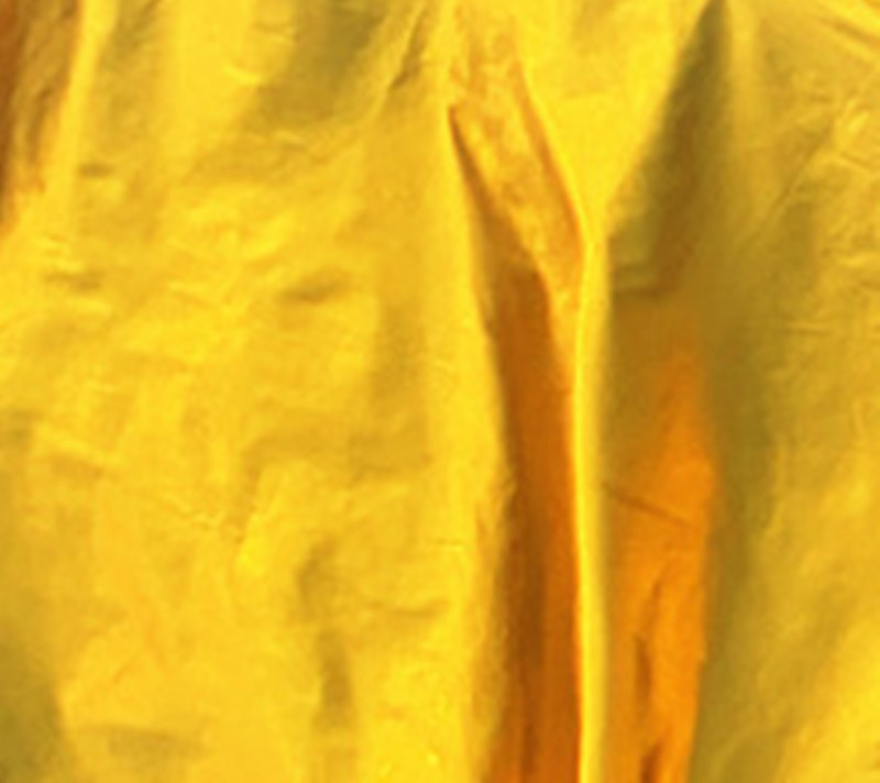 Dorado