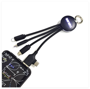 Giá rẻ nhất bán buôn Kinh doanh Quà tặng kinh doanh rơm lúa mì sinh thái thân thiện USB sạc cáp 3 trong 1 sạc cáp với Keychain - Product Image 2