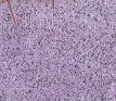 L'air violet vient de l'est