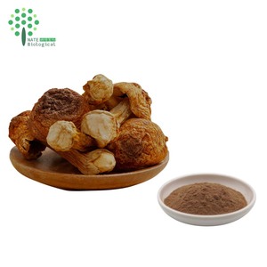 Agaricus Blazei Murill Mushroom <strong>Extract</strong> 60% Polysaccharides Solvent Extracted Powder In Drum Packaging HPLC Tested - Product Image 2