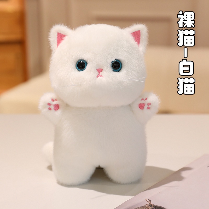 Naked cat - white cat