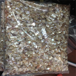 Bào Ngư Bào Ngư Nghiền Tự Nhiên Chip Vỏ Ngọc Trai Để Làm Đồ Trang Sức - Product Image 2