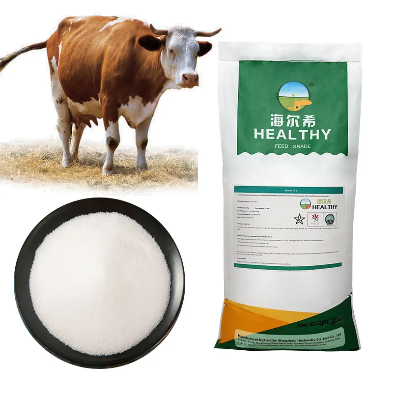 Betaine Supplier 98% Betaine Anhydrous Powder Feed Additive Anhydrous TMG Glycine Betaine 107-43-7 for Cow Fattening