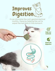 New Arrival <strong>Catnip</strong> Cat Toys Pet Products Fresh Cat <strong>Catnip</strong> Toys Mint Natural Safety Cute Shape Ball Cat Lollipop <strong>Catnip</strong> Toy - Product Image 5