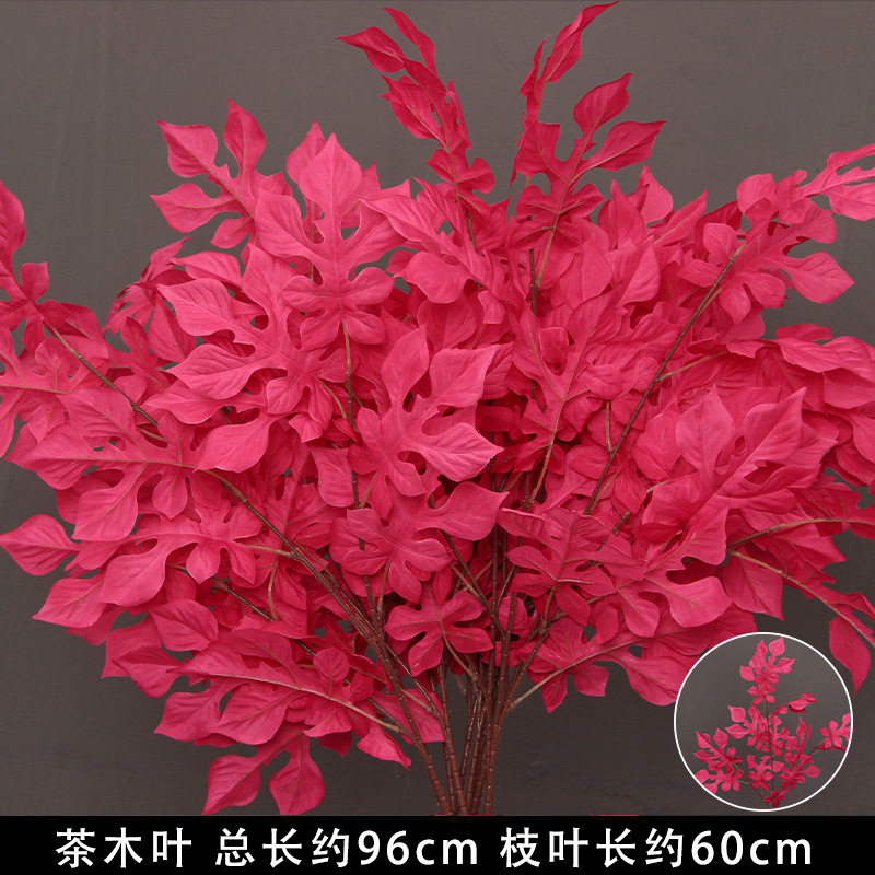 Feuilles de thé rose-rouge