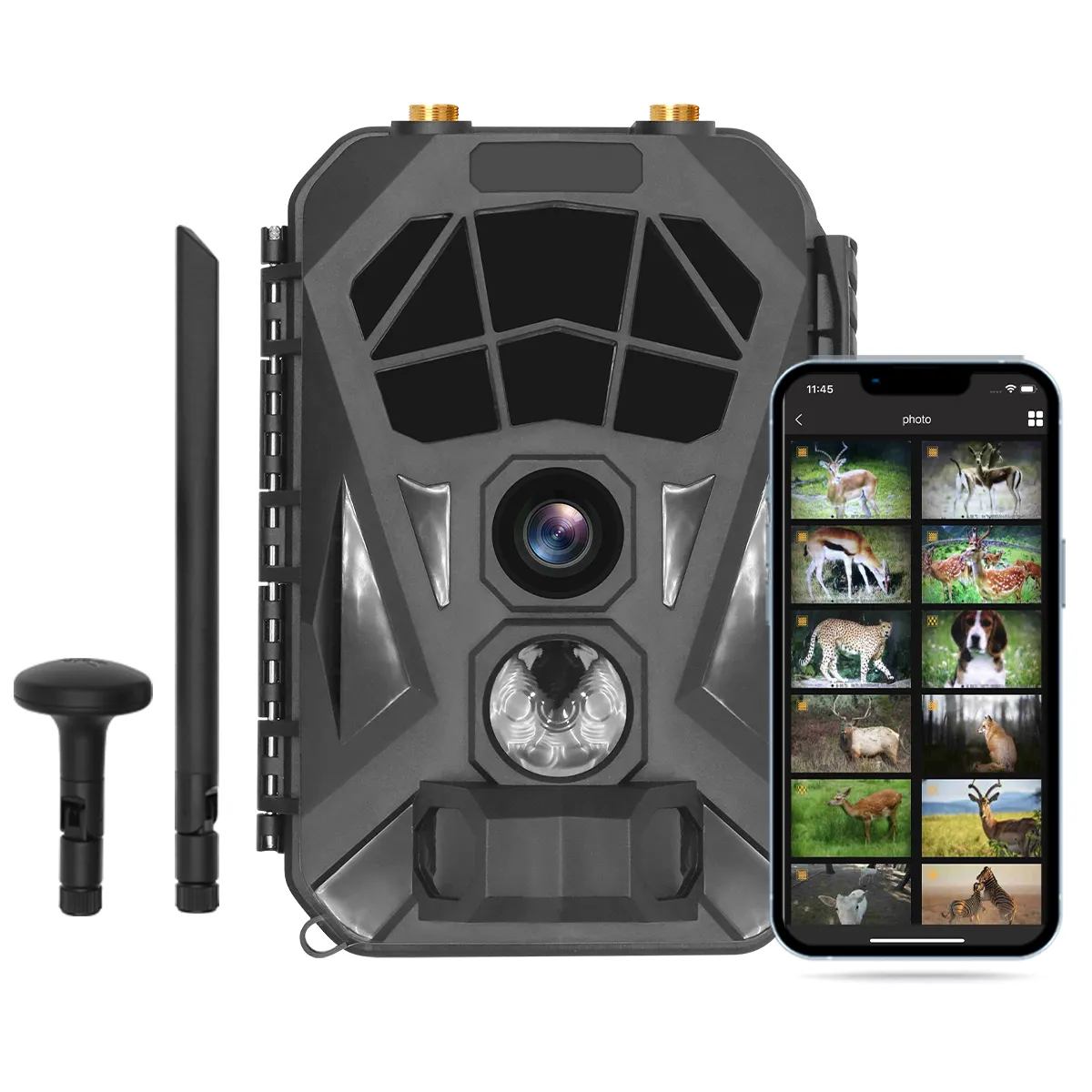 4G LTE Wireless Cellular Trail Camera 1080P Outdoor Game Camera con visione notturna Motion Activated IP56 impermeabile per la caccia
