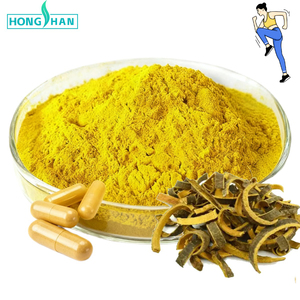 Atacado berberina suplementos 97% extrato berberina/pó berberina - Product Image 2