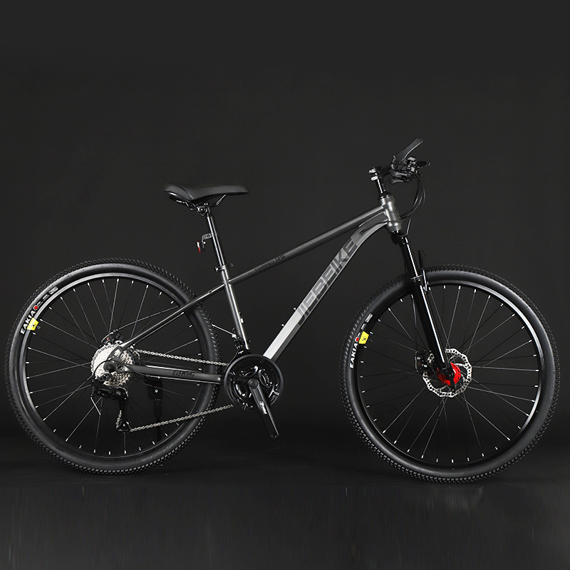 Gray 21 speed