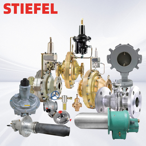 Equipamento elétrico impermeável do controlador do indicador da temperatura do STIEFEL com caixa do interruptor e do controle do termostato