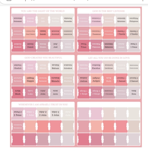 P nuovo rosa 6 fogli/borsa