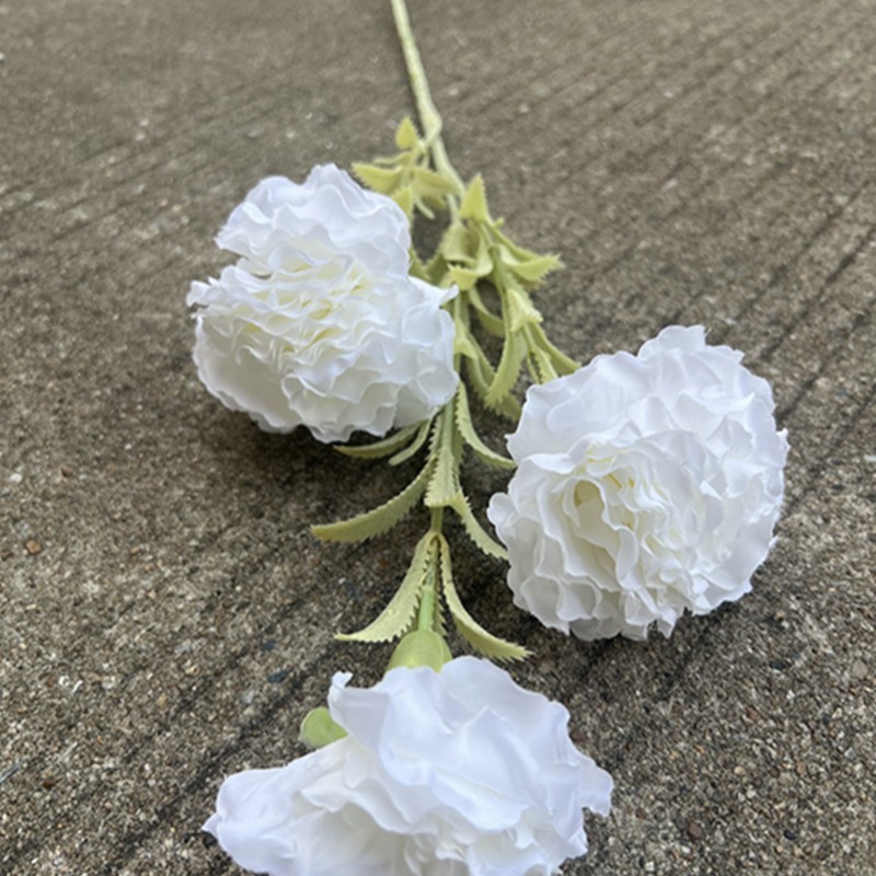 113 têtes de fleurs d'hibiscus