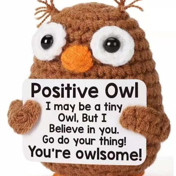 Brown Owl-positive card4