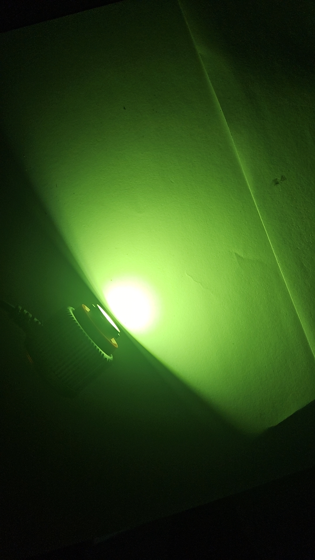 Verde Limón + Blanco