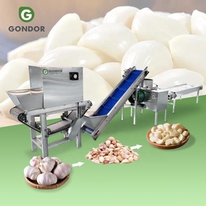 Tipo di catena pneumatica piccola produzione di macchina di buccia di processo a secco di aglio - Product Image 1