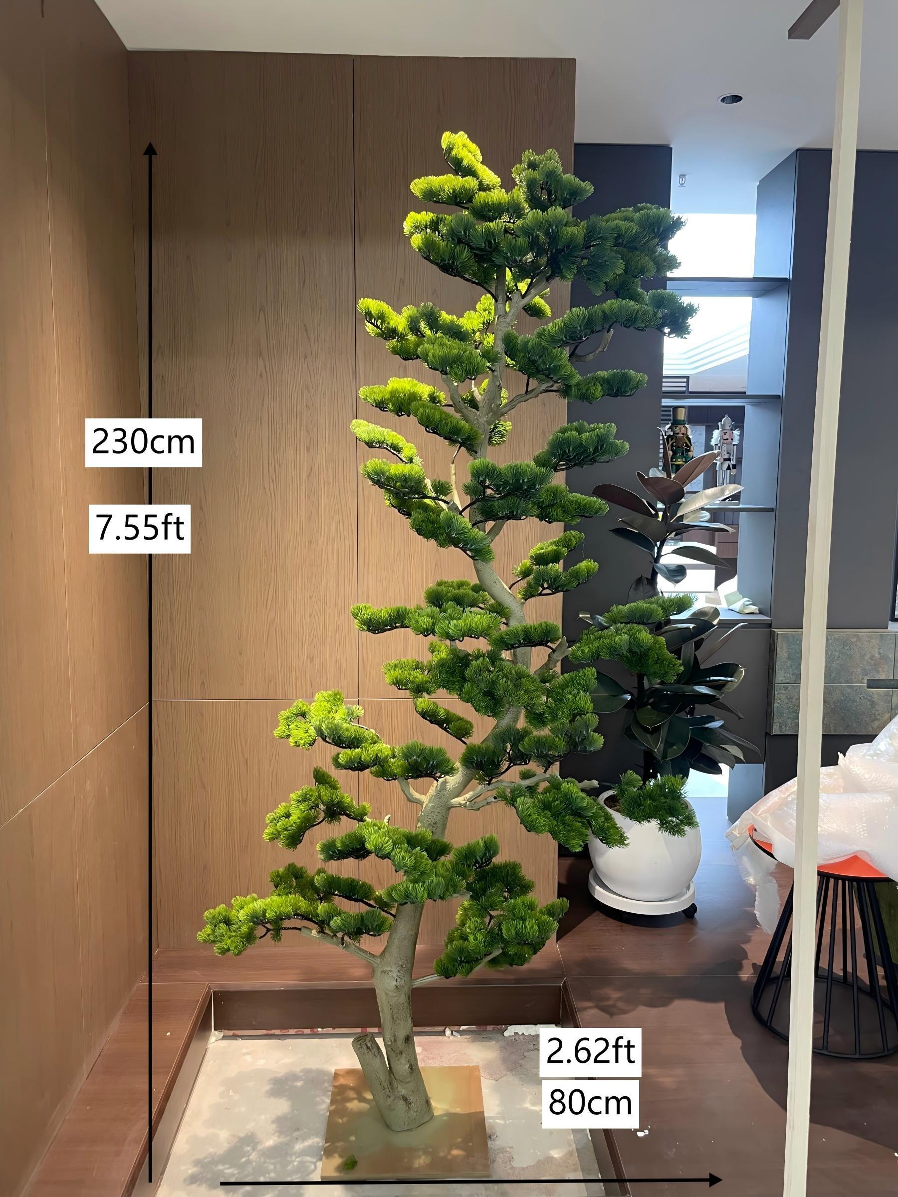 2,3 M verde