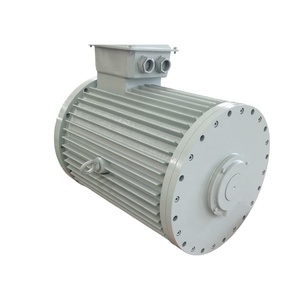 Manufacturer <strong>Pmg</strong> Generator Low Rpm Coreless Permanent Magnet Generator <strong>20kw</strong> - Product Image 1