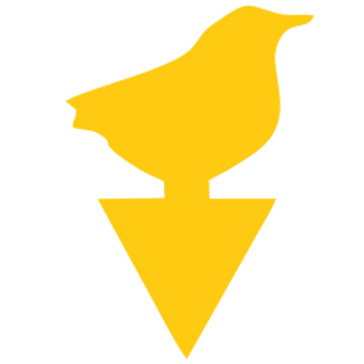 Pájaro