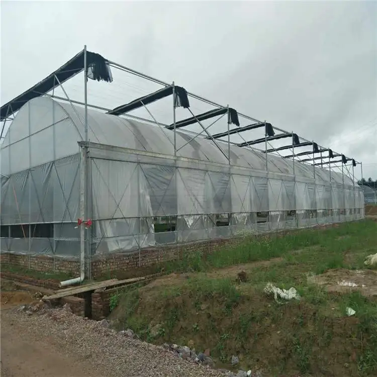 Prezzo di fabbrica agricolo multi span tunnel serra utilizzato per idroponica foglia vegetale