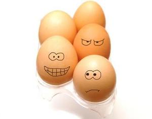 <strong>Egg</strong> <strong>Grading</strong> <strong>Machine</strong>/<strong>egg</strong> Sorting <strong>Machine</strong>/<strong>egg</strong> Grader for Sale - Product Image 5