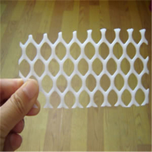 Poly Mesh Rolls/Bird Barrier <strong>Netting</strong>/<strong>Hexagonal</strong> Plastic Mesh - Product Image 1