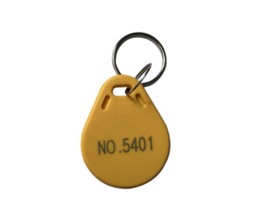 Program URL HF 13.56MHZ RFID Key Tags NFC Keychains QR <strong>Code</strong> Customized logo Access Control Rfid Key Fob T5577 Copyable Keyfobs - Product Image 6