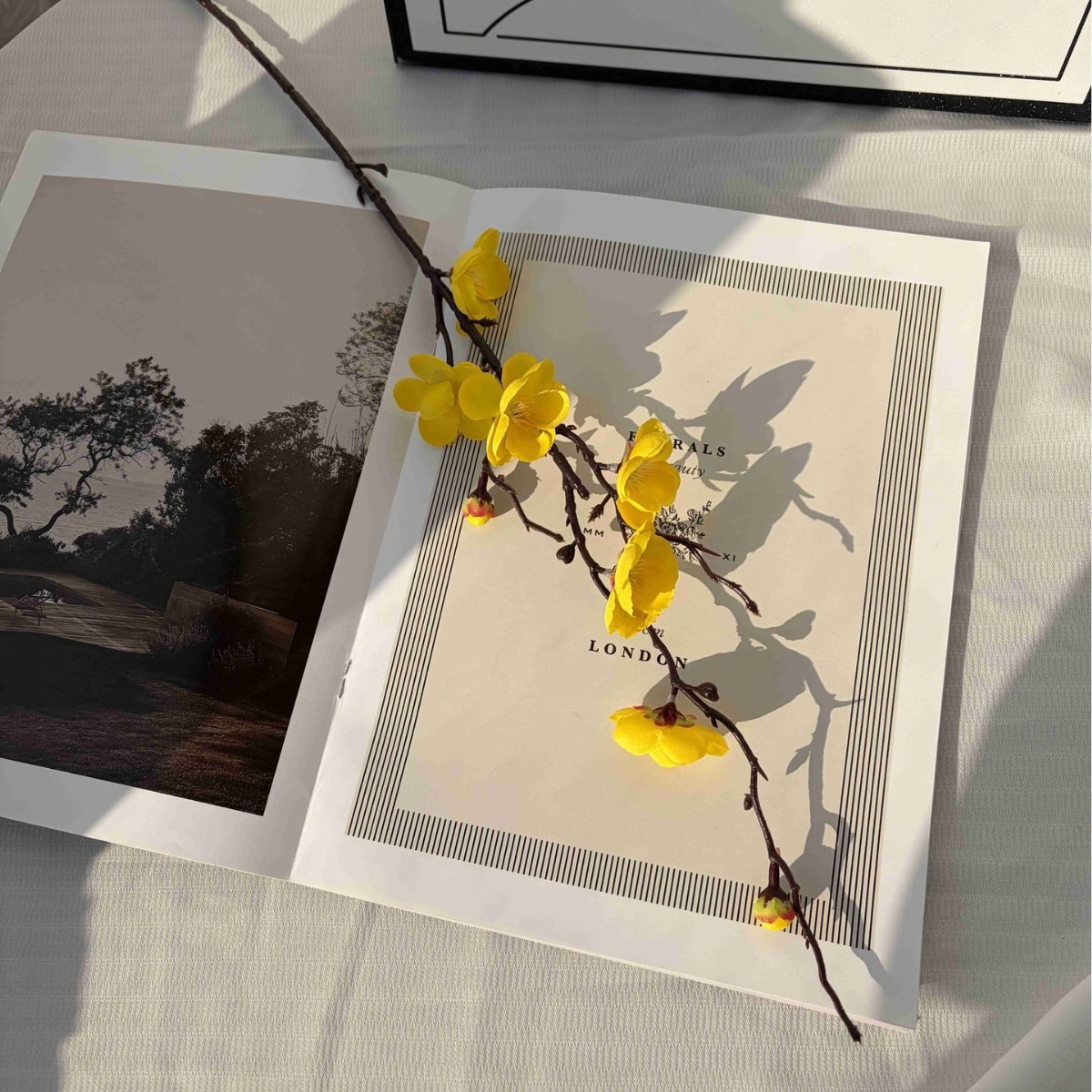 Ruyi plum yellow
