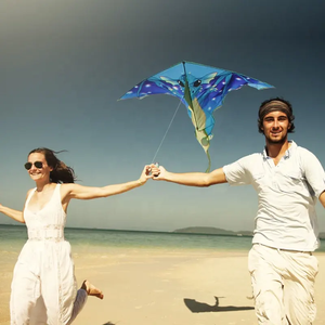 Đảm Bảo Chất Lượng Polyester Làm Phim Hoạt Hình Động Vật Diều Pterodactyl Diều Cho Trẻ Em Rồng Diều Với Đuôi - Product Image 5