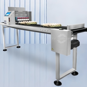 Macchina automatica per la codifica della data della stampante a getto d'inchiostro per la vendita - Product Image 1
