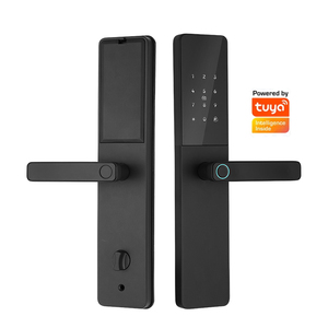 Yüksek kaliteli anahtarsız giriş TTLock APP elektrikli parmak izi şifre Rfid kolu sürgü dijital akıllı kapı kilidi - Product Image 1