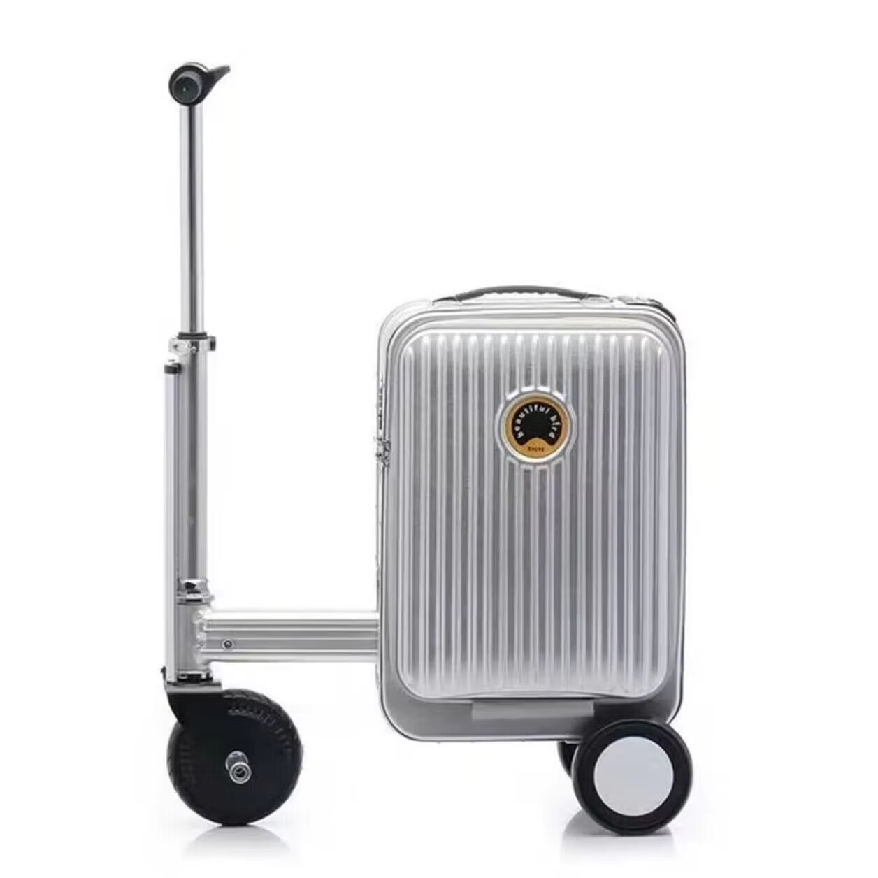 striped-fashion silver