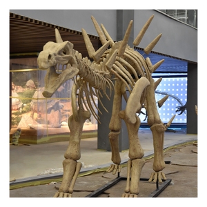 恐龙化石画廊展示了精湛的工艺，非常适合其他恐龙化石骨架 - Product Image 1