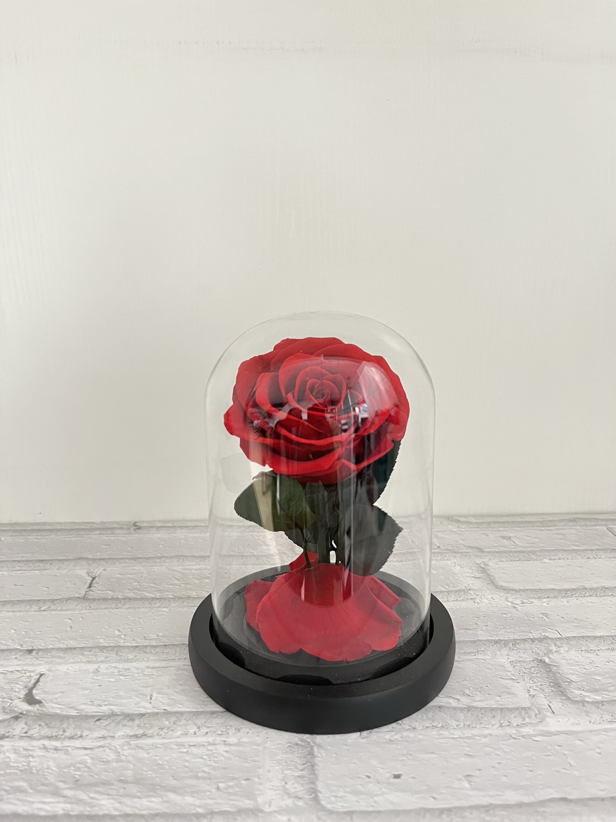 dark Red(10*16cm)