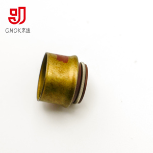 Gnok Tùy Chỉnh Flo Cao Su Van Stem Con Dấu Dầu 6d40 Động Cơ Xe Máy Van Con Dấu Nhà Máy Trực Tiếp 6d40 Động Cơ Xe Máy Con Dấu - Product Image 4