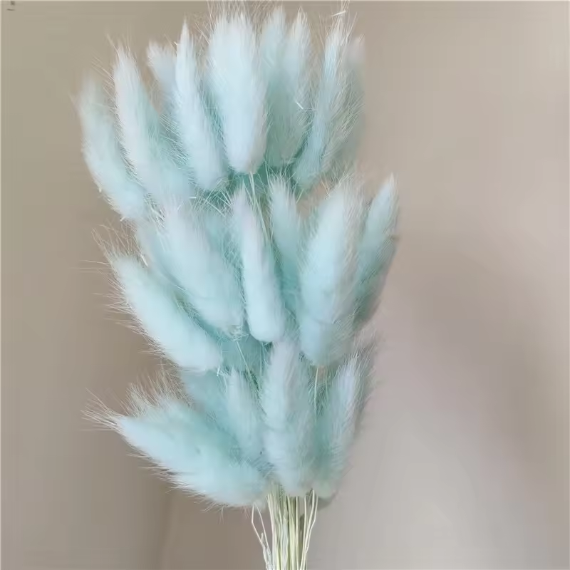 Blu-chiaro
