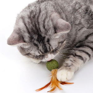 Limpieza de dientes no tóxicos, hierba gatera de oveja, juguetes de menta comprimidos para satisfacer la necesidad del gato de bola de estimulación, hierba gatera - Product Image 4