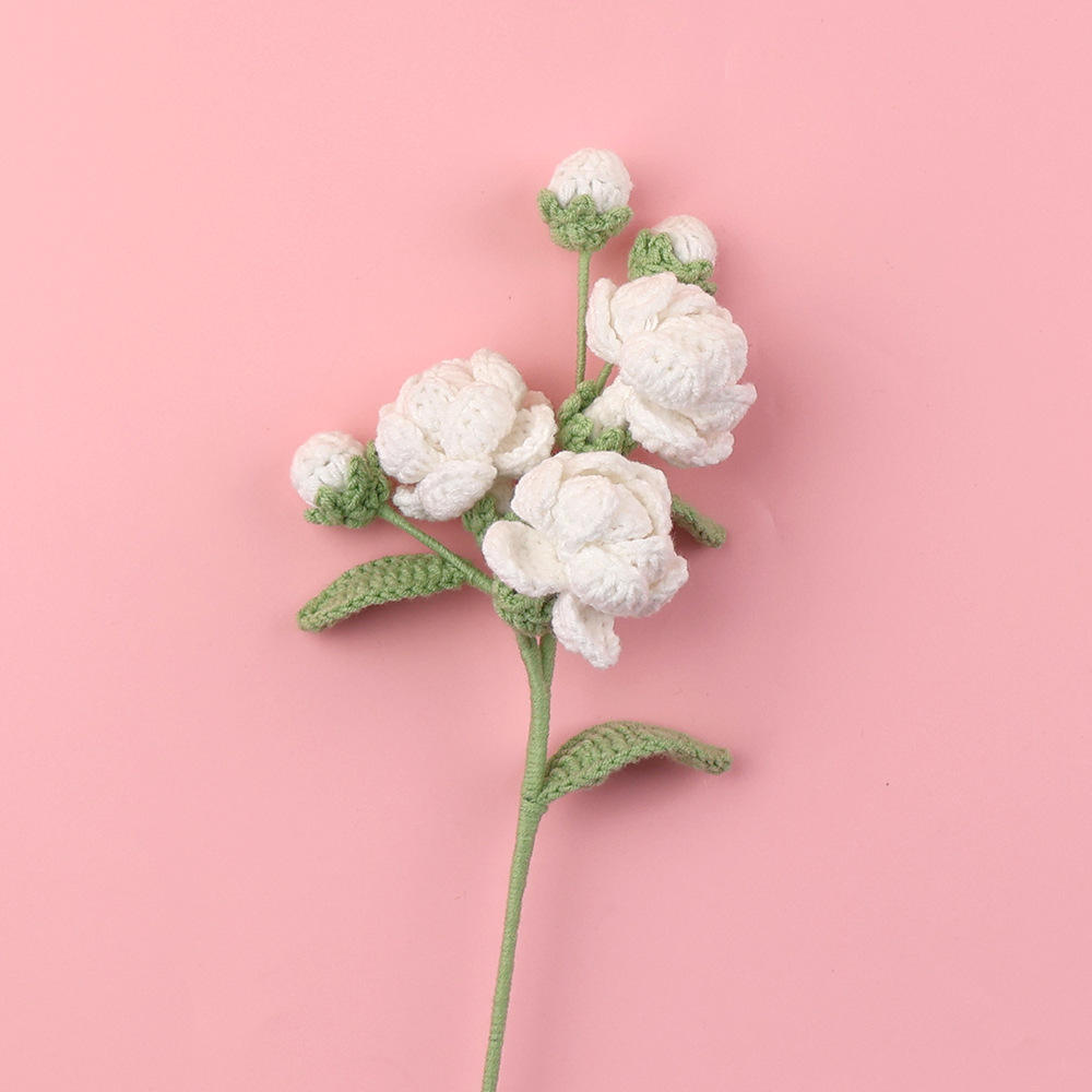 CS-JN10-1 ซีเอส-เจเอ็น10-1