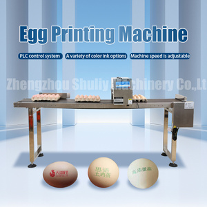 Automatic Capacitive Touch Screen Professional Egg Spray Inkjet Printer <strong>Coding</strong> Machine - Product Image 3