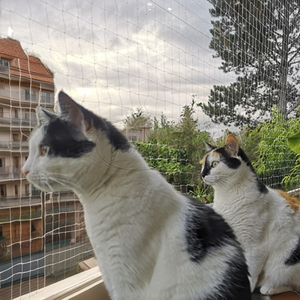 Hot Sale Strong Nylon HDPE PP PE Transparent <strong>Mesh</strong> Safety <strong>Net</strong> Heavy Duty Cat Balcony Window Fall Protector <strong>Custom</strong> Cutting Service - Product Image 1