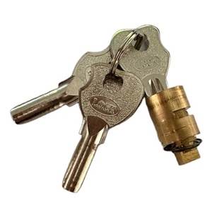Euro Profile 15mm Diameter Brad Cam Door <strong>Lock</strong> Cylinder <strong>with</strong> <strong>Computer</strong> <strong>Key</strong> - Product Image 1