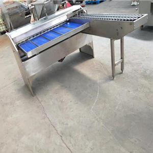 高效鸡蛋分选机鸡蛋大小重量分选机分类自动小型分级机分类 - Product Image 3