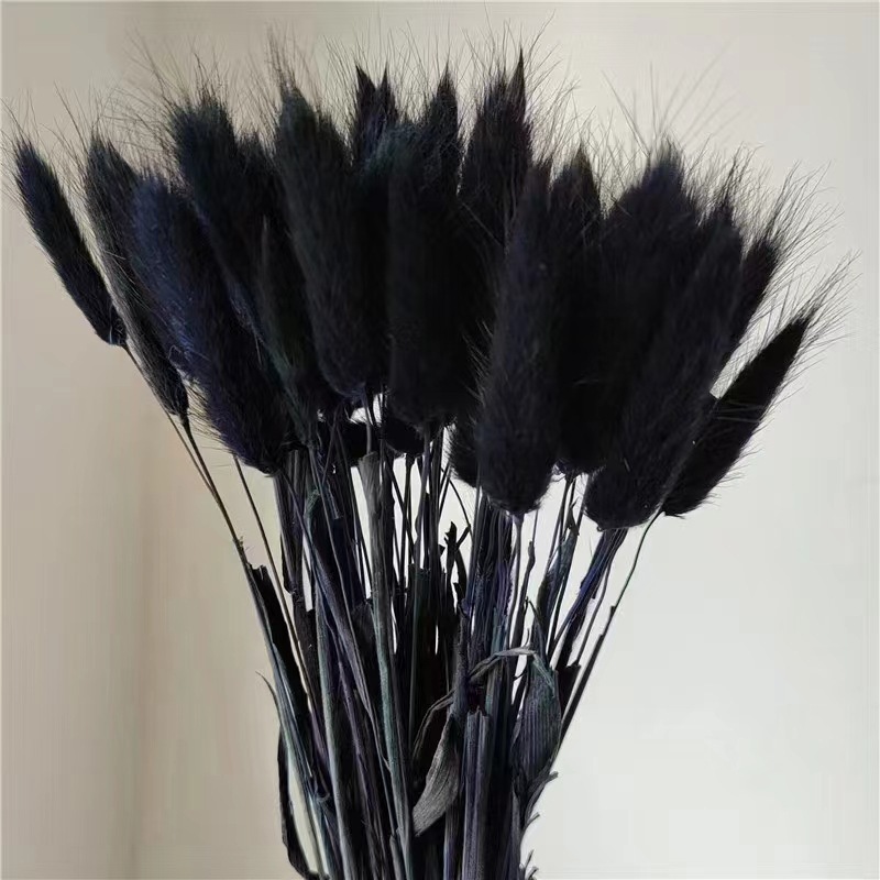 Noir (env.30 pièces)