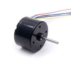 Motor BLDC de tamaño pequeño de 24V con controlador externo/interno de alta velocidad de 10000RPM, conmutación sin escobillas PWM de 12V para uso con ventilador de barco - Product Image 1