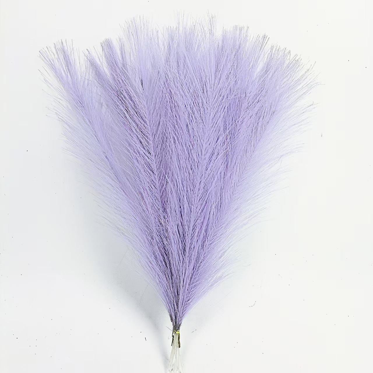 Taro violet