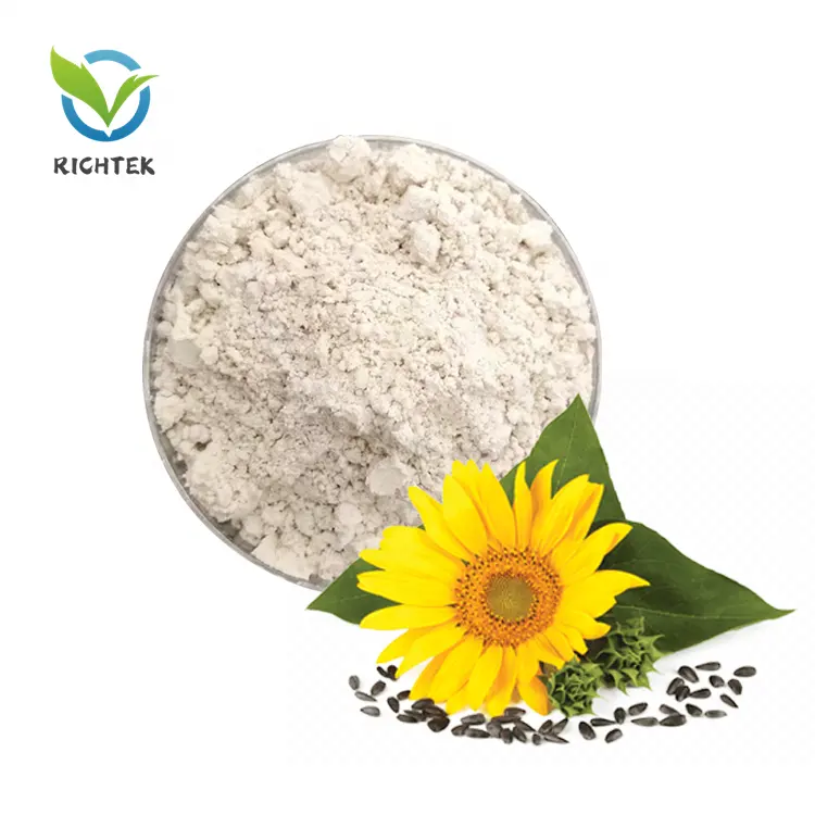 Golden supplier-Polvo de proteína de girasol casled, 60% de proteína de girasol a base de plantas para comida de bebé, 60% de proteína kernal de girasol