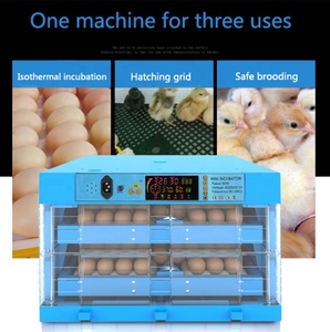 Papağan civciv Couveuse Oeuf Automatique yumurta kuluçka otomatik, Turner inkübatör denetleyici yumurta inkübatör fiyat - Product Image 2