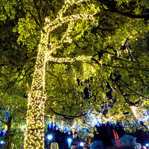 Fairy <strong>String</strong> <strong>Lights</strong> Led Christmas Tree Aa Battery 100 Led 33ft <strong>Multi</strong> <strong>Color</strong> Outdoor Led Patio <strong>String</strong> <strong>Lights</strong> Led - Product Image 1