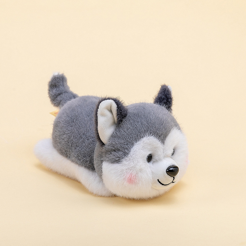 Husky de Sibérie