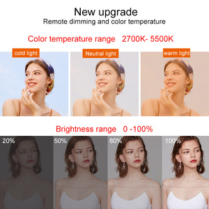 Photography Photo Studio Accessories 5070cm LED Softbox Lighting Kit Bi-color Dimmable with <strong>Light</strong> Stand Remote Controller - Product Image 6