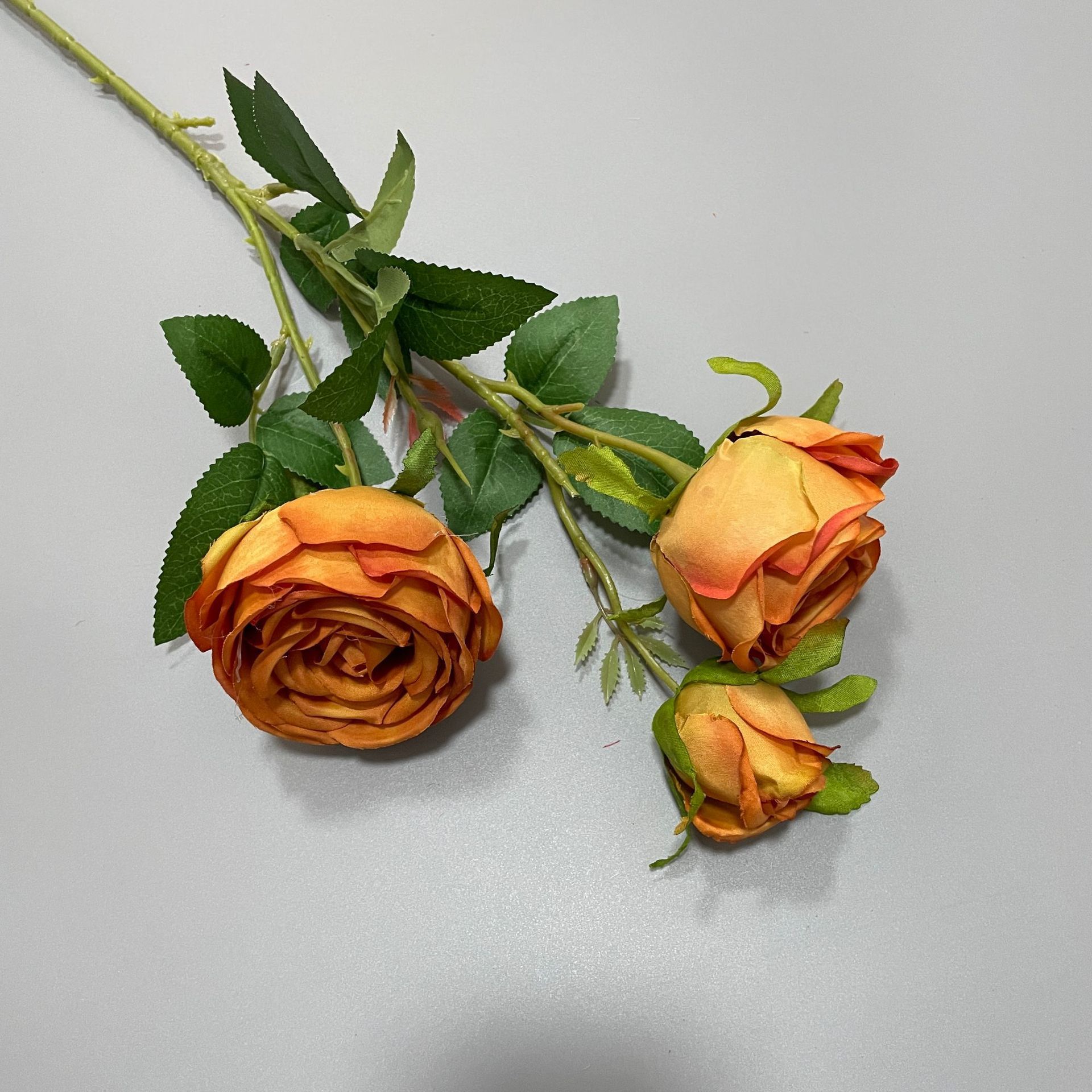 #8 Rose